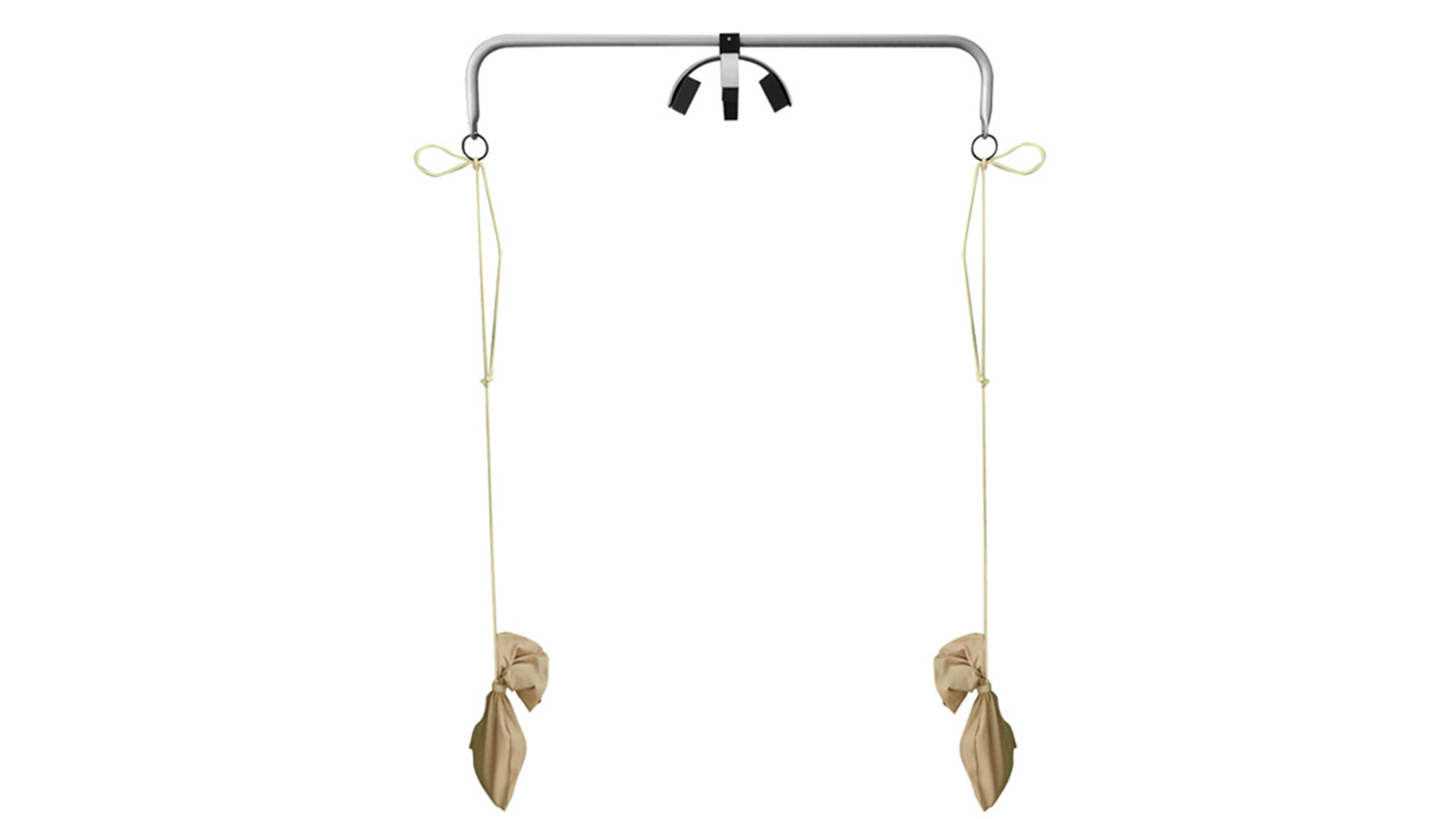 Posture and Poise apparatus